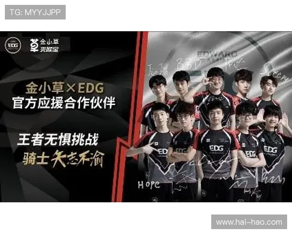 EDG比赛经验引发热议玩家对战术选择和团队协作的不同看法 EDG比赛经验引发热议玩家对战术选择和团队协作的不同看法