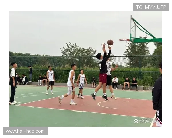 上海篮球队逆袭之旅的真实记录与奋斗精神的展现