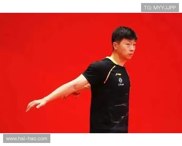 与王娜对话探讨她的乒乓球生涯与心路历程