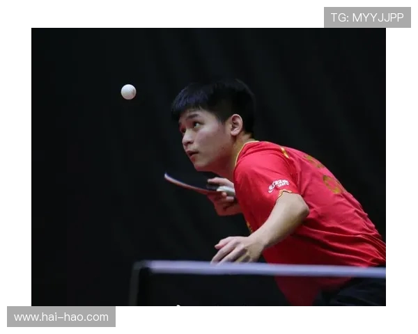 乒乓球的魅力与技艺探秘：杭州乒乓球队的精细控制与训练揭秘