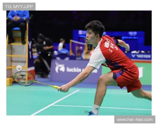 北京羽毛球队在世界锦标赛积分榜上以82分稳居第一名展现强大实力