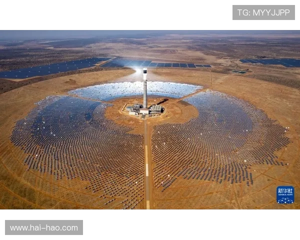 南京攀岩队创新盯防策略助力竞技水平提升与团队协作优化 南京攀岩队创新盯防策略助力竞技水平提升与团队协作优化