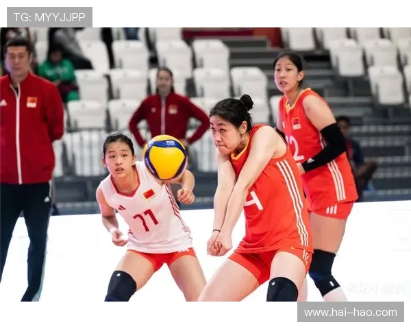 南京排球队意识变革引发热议助力球队新发展与未来挑战