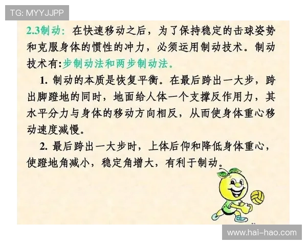 广州排球队总决赛战术解析与表现评估全面分析