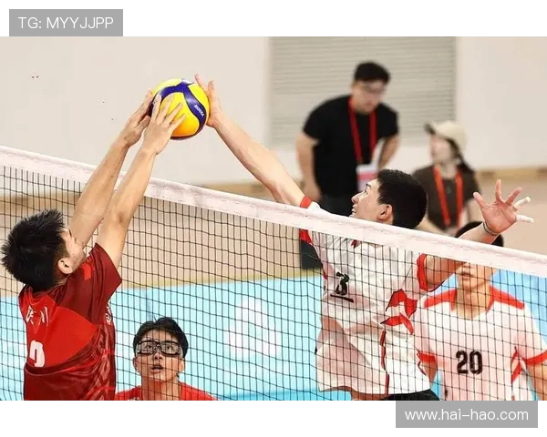 成都排球队的默契配合与战术分析探讨排球运动的魅力与团队精神