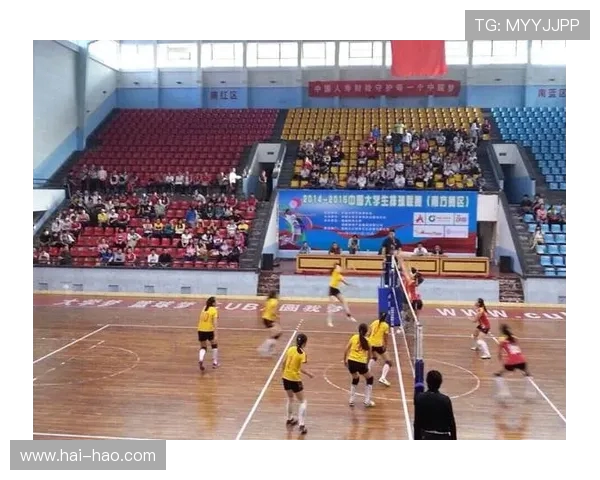 排球耐力排行榜揭晓北京排球队荣获第九名成就引关注