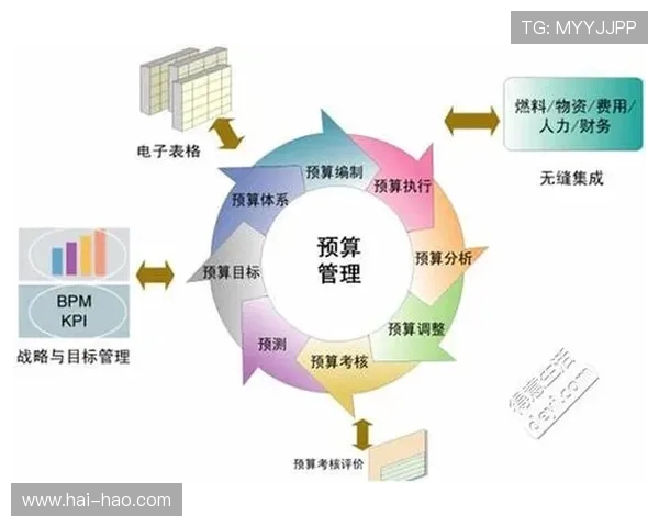 杭州排球队运营分析：成功经验与面临挑战的全面探讨