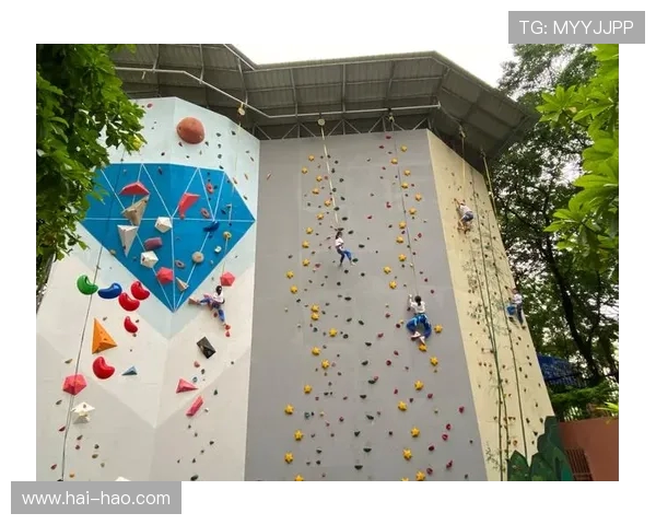 武汉攀岩队领跑最新攀岩配合TOP10引领行业新趋势