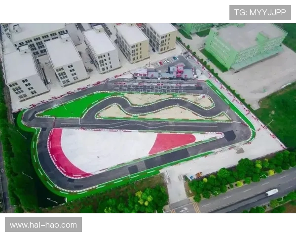 武汉极限运动队速度对比深度解析及各项目表现评估