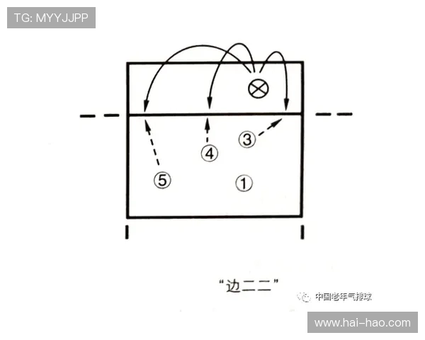 西安排球队中路突破新策略解析与战术创新探讨