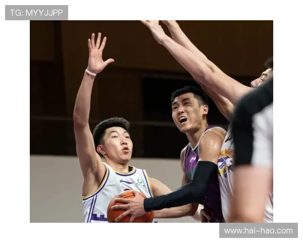 浙江对阵辽宁精彩直播视频全程回放及赛后分析尽在这里