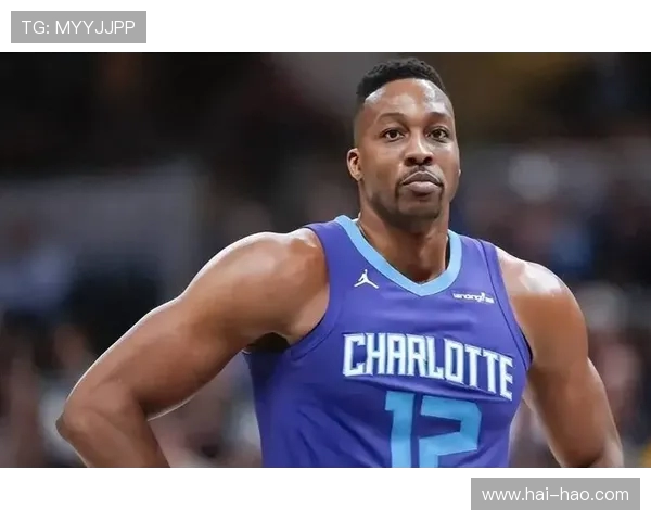 诺维斯基与霍华德的巅峰对决谁能称霸NBA历史舞台