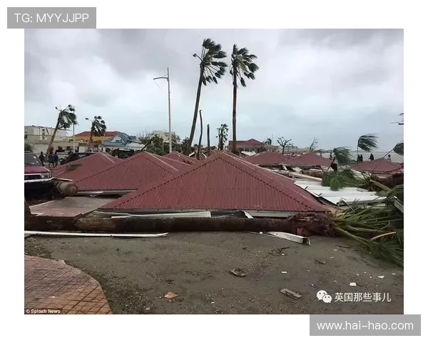 飓风来袭图圣马丁岛的生存挑战与重建希望