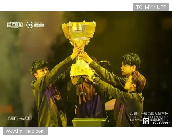 和平精英战术解析:WE战队区域防守体系的深度剖析与应用技巧