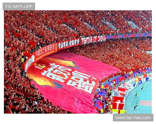 杭州排球队配合问题引发热议球迷与专家各执己见