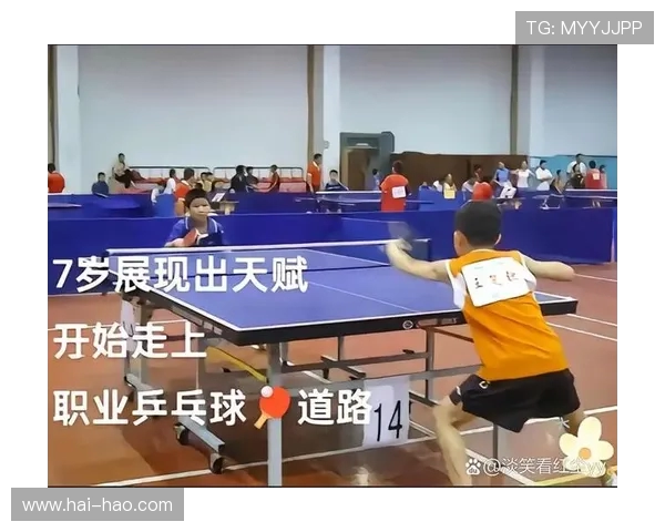 武汉乒乓球队的控制革新探索与实践:从技术到战术的全面提升之路