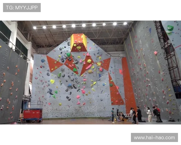 武汉攀岩队边路渗透战术分析与效果评估探讨