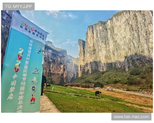 南京攀岩队的速度革命与热议背后的攀岩文化变迁探讨