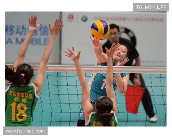 周敏独家分享排球技巧与心得助你提升竞技水平与团队配合能力