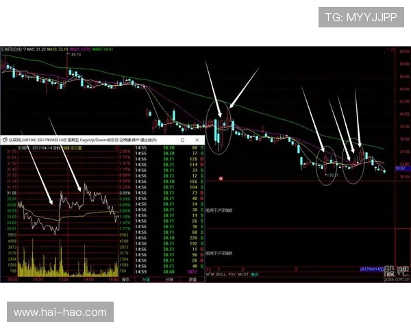 广州与南京排球队赛后技术分析与战术复盘探讨