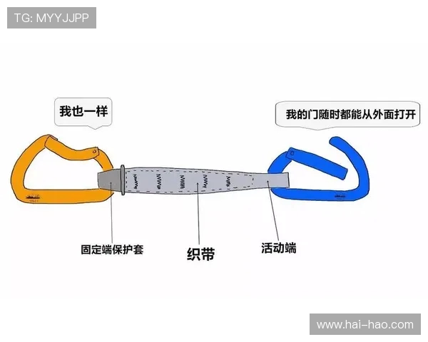 武汉攀岩队的意识探讨与攀岩运动发展现状的深度分析与反思